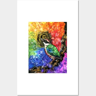 Fairy Pitta Posters and Art